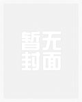 恶俗的助理小姐（Np）